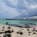 제주김녕한달 이미지