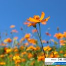 배방의료기 | 아산 배방읍 노인 전동스쿠터 전동차 나드리110 배송후기