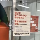 수선짱2