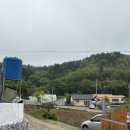 나매뒷집 이미지