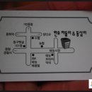 차돌이식당 이미지