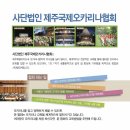 오카리나(입문) 이미지