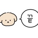 플레이존 PC 경주중앙점 이미지