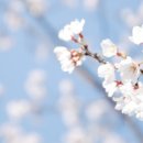 브람스 센텀점 이미지