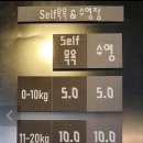 할리우독 이미지