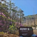상현농장 | 부산 웰빙주말농장 방문후기 (부산주말농장추천/부산주말농장 소개)