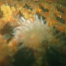 한수목장 이미지