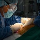 이천동물의료센터 이미지