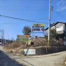 퍼피앤펍