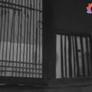 그때그시절 Daum카페