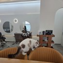 다옴헤어살롱 이미지