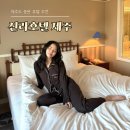 호텔모아 | 신라호텔 제주 내돈내산 객실 후기 비싼값하는 짬뽕 룸서비스