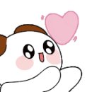 아랑이애견