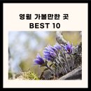 영월 가볼만한곳 강원도 영월 가볼만한곳 영월 가볼만한곳 베스트10 이미지