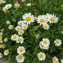 상봉1동주민센터 이미지