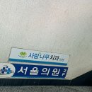 사랑나무치과의원 이미지