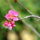 설레임 피아노 이미지