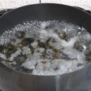 더 맑은 민박 이미지