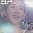 슈입