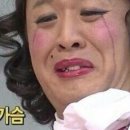 애견친구 이미지