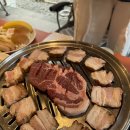모노캠프