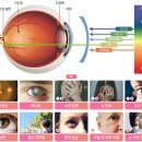 성모안경 이미지