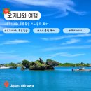 루리래쉬 | [오키나와 여행] 오키나와 푸른동굴 스노클링 한국인 가이드 투어 루리오키나와 예약, 가격, 후기