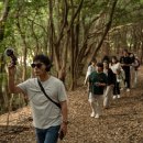 머체왓숲길영농조합법인 이미지