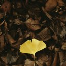 아산정약국 이미지