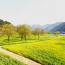 구로-구로-구로-1910 이미지