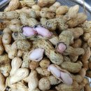 원일농장 이미지