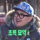 다홍연어