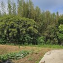 함평터미널 공인중개사사무소 이미지