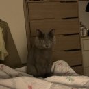 한가족노동조합 | Diary 주7일 출근 하는 사람 나야 나👷🏻‍♀️:: 카야 버터 토스트/타로파이/용인 인더트립/땡큐로스터스