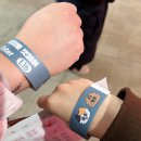 라임캣 | 2026 가낳지모 캣페어 Winter 방문 후기