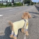 운봉스테이 이미지