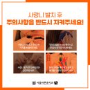 내원백운 이미지