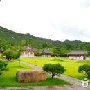 국화마을펜션 이미지