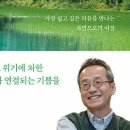 나무이발사