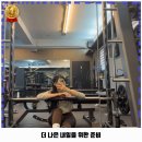 덤벨을들다 네이버블로그