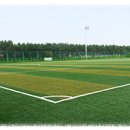 보령스포츠파크 이미지