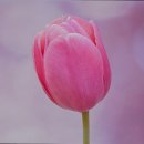 오산 실버케어센터 이미지