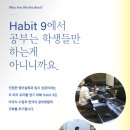 해빛초등학교 | [내맘대로 리뷰] 대치 해빛나인 어학원