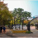 약국산책 이미지