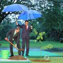 가하루