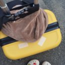 씽씽(singsing)병원 | 꽉 찬 3박 4일 베트남 하노이 여행기 (22.08.25~22.08.28)