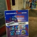 어등환경 | 갈라파고스 세이무어 다이빙 후기 – 망치상어와 수중 생물 관찰 기록