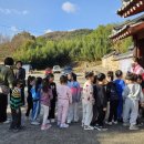 푸른들어린이집 이미지