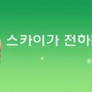 ㈜스카이 이미지