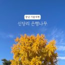 신당리 마을회관 이미지